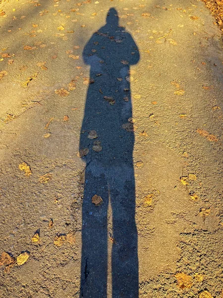 Der Schatten Eines Fotografen Der Dezembersonne — Stockfoto