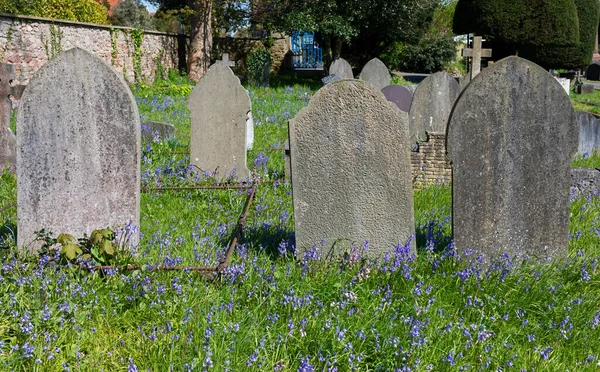 Gamla Gravstenar Och Vårblommor Milton Road Cemetery Weston Super Mare — Stockfoto