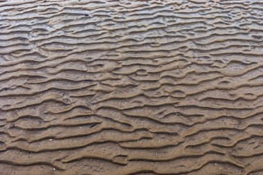 Ripples in the sand on a beach clipart