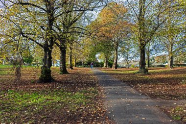 Weston-super-Mare, İngiltere 'deki Ashcombe Park' ta bir sonbahar öğleden sonrası.
