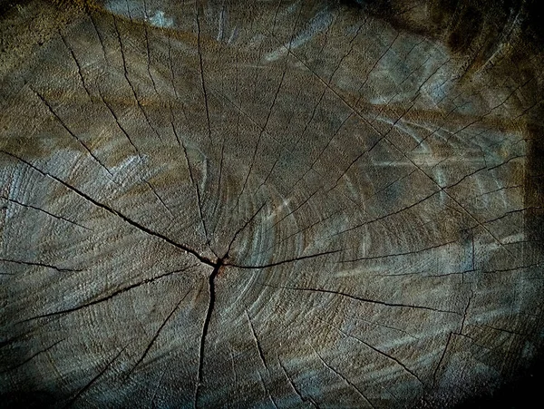 割れた木の切り株 Alliphonewallpapers Net — ストック写真