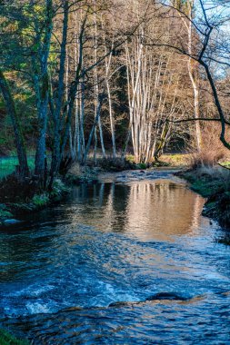 Batı Almanya 'daki Eyfel Ulusal Parkı