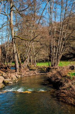 Batı Almanya 'daki Eyfel Ulusal Parkı