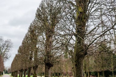 Alman şehri Düsseldorf 'ta Schloss Benrath Bahçeleri