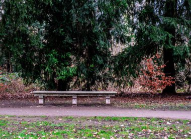 Alman şehri Dusseldorf 'taki Schloss Benrath bahçesinde bir bank.