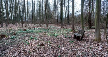 Batı Almanya 'daki Nikolaus Manastırı' ndaki Lourdes Bakiresi Mağarası ve çevresi