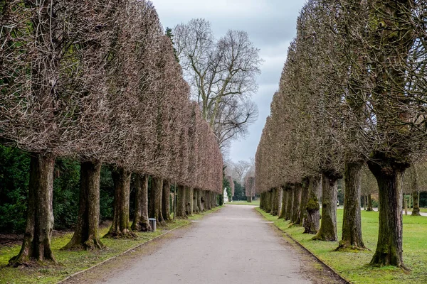 Alman şehri Düsseldorf 'ta Schloss Benrath Bahçeleri