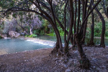 Algar Springs, İspanya 'da Altea ve Benidorm yakınlarında berrak suları olan bir nehir.
