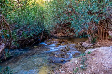 Algar Springs, İspanya 'da Altea ve Benidorm yakınlarında berrak suları olan bir nehir.