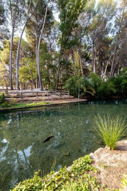Valencia, İspanya 'daki Lliria köyündeki San Vicente Ferrer baharı.