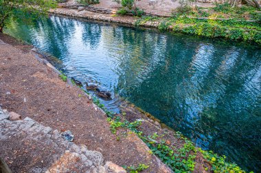 Valencia, İspanya 'daki Lliria köyündeki San Vicente Ferrer baharı.