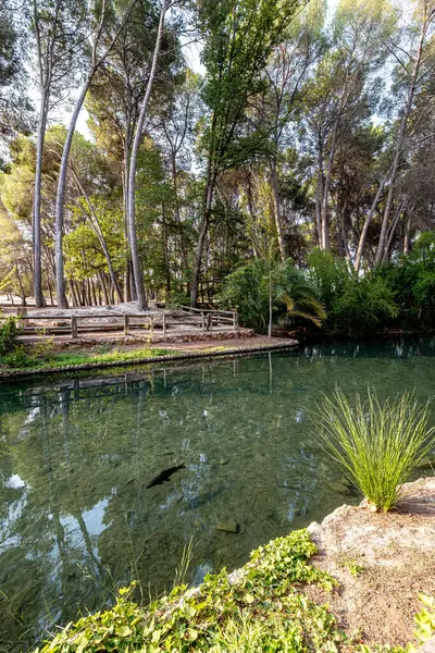 Valencia, İspanya 'daki Lliria köyündeki San Vicente Ferrer baharı.