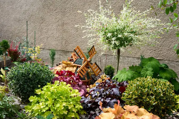 Renkli Dekoratif Bahçe Minyatür Yel Değirmeni Değişik renklerde ve dokularda çeşitli bitki ve çalılarla dolu canlı bir ev bahçesi. 