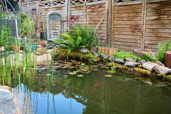 Süslü bir göleti, nilüferleri, taştan sınırları, yemyeşil bitkileri ve sakin, doğal bir vahayı yaratan ahşap çitleri olan sakin bir bahçe..