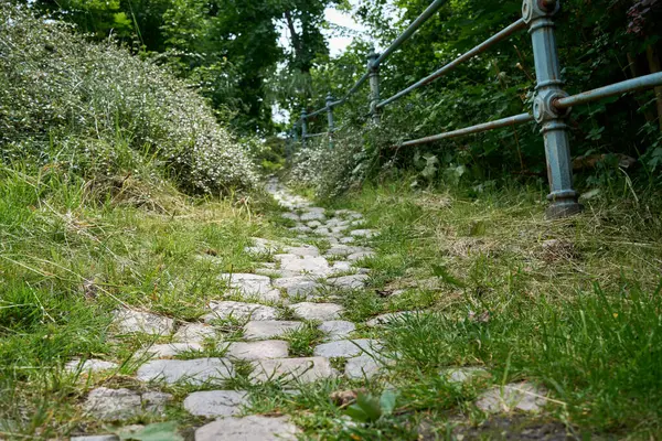 Aşırı büyümüş çimenler ve metal korkulukların bulunduğu eski kaldırım taşı yolu doğa, yürüyüş ve kırsal arazi temaları için ideal, yeşil bir patikadan geçer..