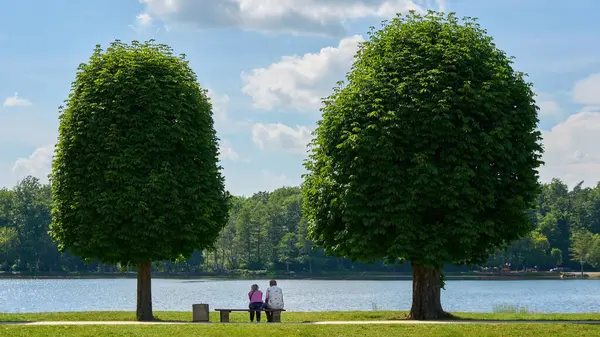Güneşli bir günde sakin bir gölün kenarındaki iki biçimli ağacın arasındaki bankta oturan yaşlı çift, doğanın ve barışçıl sohbetin tadını çıkarıyorlar.