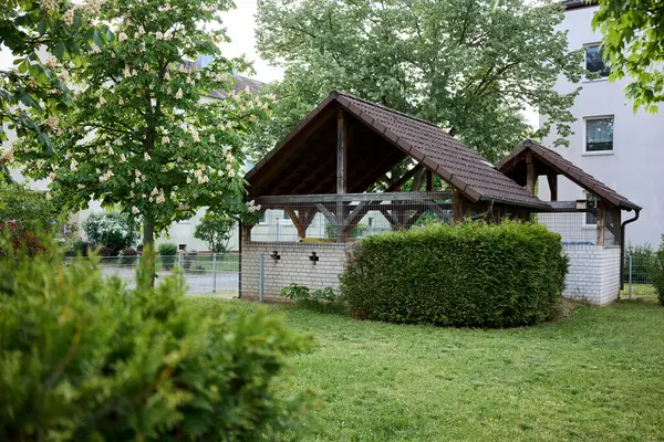 Ağaçlar ve çalılarla çevrili yeşil bir avluda fayanslı çatısı olan ahşap bir barınak. Doğal peyzajlı rahat banliyö mimarisi.                               