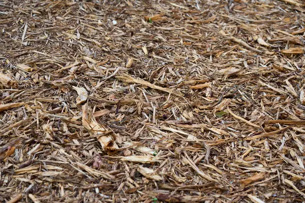 Doğal ahşap kırıntısı dokusuna yakın çekim. Parçalanmış ağaç kabuğu ve dalları organik bir zemin örtüsü oluşturur. Genellikle bahçe düzenleme ve bahçecilikte kullanılır.                               