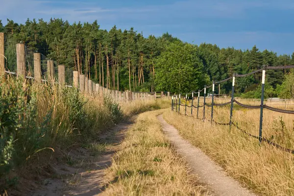 Güneşli bir toprak yol, solunda tel ve modern siyah çit ile çevrili iki tip çit ile çevrili, çimenli bir tarla boyunca yavaşça kıvrılır..                            
