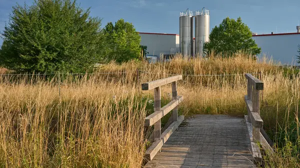 Overgrown Field Endüstriyel Alanında Tahta Köprü          