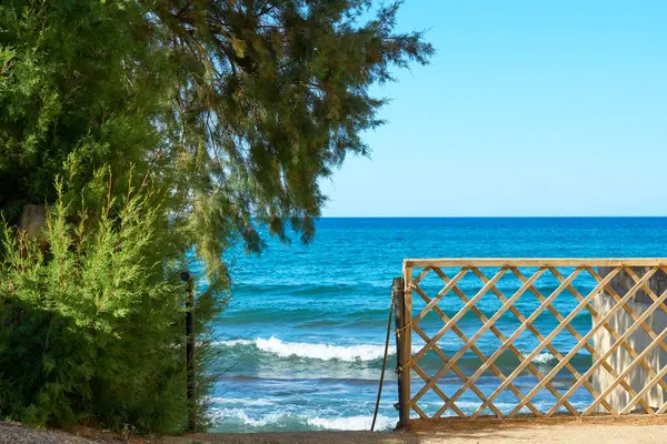 Tahta kapı turkuaz deniz dalgaları ve açık mavi gökyüzü olan güzel bir sahile açılıyor. Bereketli yeşil ağaçlar ve sakin okyanus manzaralı kıyı manzarası yaz tatili ve dinlenme için mükemmel..