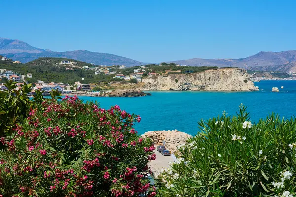 Turkuaz denizi, kayalık uçurumları ve ön planda çiçek açan pembe zakkum çiçekleriyle Akdeniz kıyısı manzaralı bir köy. Berrak mavi gökyüzü ve dağlarla Idyllic yaz tatili manzarası.