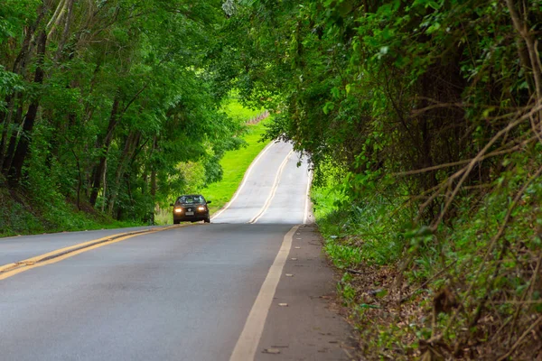 stock image Landscape of a stretch of Highway GO-462, with a car on the way, in Goias. Tree tunnel. Goias road.