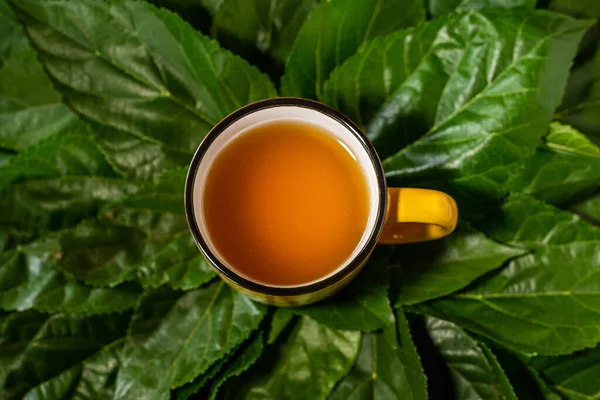 Mug Yellow Tea Top Several Fresh Green Leaves Concept Healing — Stock Photo, Image
