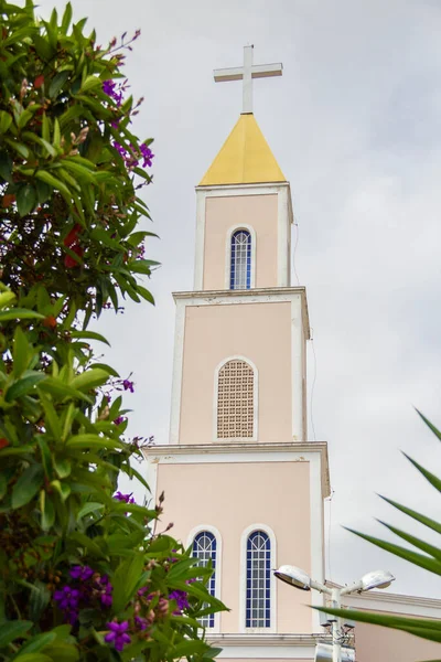 Detalj Tornet Nossa Senhora Abadia Socken Sedd Mellan Växter Staden — Stockfoto