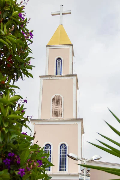 Szczegóły Wieży Parafii Nossa Senhora Abadia Widzianej Między Roślinami Mieście — Zdjęcie stockowe