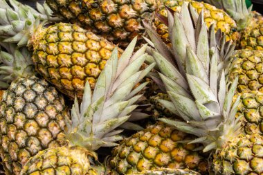  Several pineapples arranged, on display for sale at a fair.