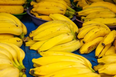 Several bunches of bananas arranged, on display for sale at a fair.