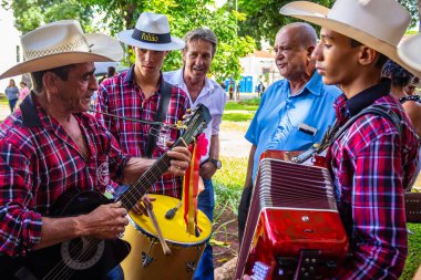 Brezilya 'da tipik bir parti olan Kralların Şöleni' nde çalan ve şarkı söyleyen bir grup insan.
