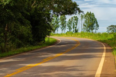 A section of the GO-462 highway where there is a curve in the road.