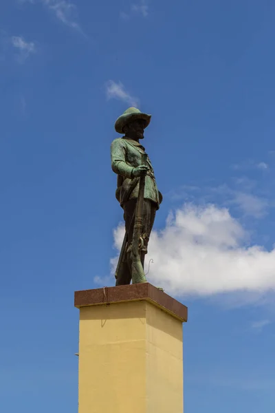Статуя Которая Находится Центре Города Гояния Praa Attilio Correa Lima — стоковое фото