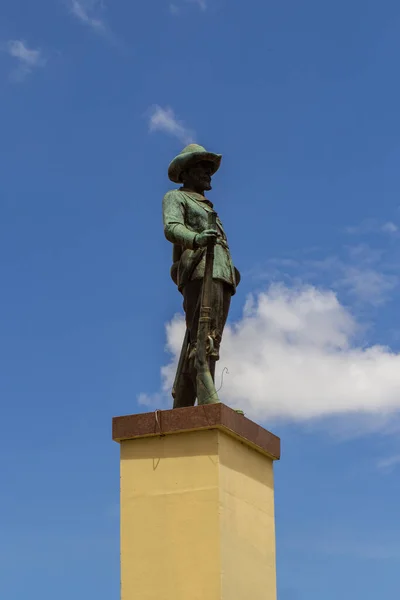 Statue Die Zentrum Der Stadt Goiania Steht Praa Attilio Correa — Stockfoto
