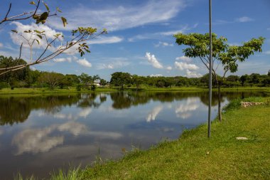 Goinia şehrindeki Leoldio di Ramos Caiado Parkı 'nda gökyüzünü yansıtan küçük bir göl..
