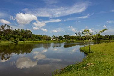 Goinia şehrindeki Leoldio di Ramos Caiado Parkı 'nda gökyüzünü yansıtan küçük bir göl..