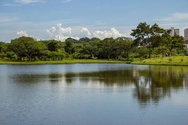 stock image A landscape of Leoldio di Ramos Caiado Park in the city of Goinia with a small lake and fresh green vegetation.