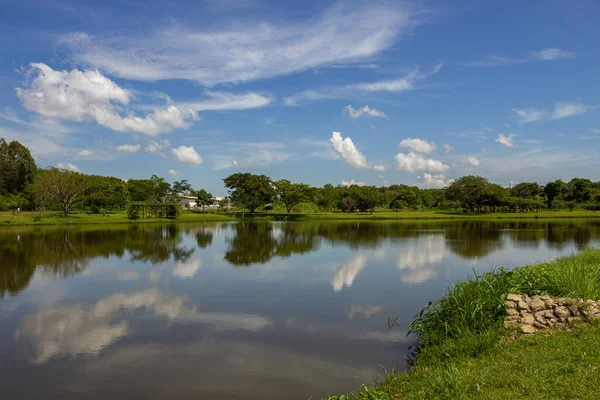 Eine Landschaft Des Leoldio Ramos Caiado Parks Der Stadt Goinia — Stockfoto
