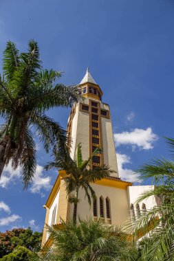 Goiania Metropolitan Katedrali 'nin tepesinde hindistan cevizi yaprakları arasında görüldü. Dikey biçim.