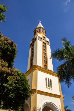 Gökyüzünün mavi olduğu açık bir günde Goiania Metropolitan Katedrali bir ağaçla hindistan cevizi ağacı arasında görüldü..