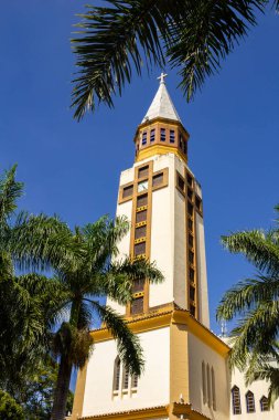 Goiania Metropolitan Katedrali 'nin tepesinde hindistan cevizi yaprakları arasında görüldü. Dikey biçim.