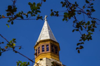 Goiania Metropolitan Katedrali 'nin tepesinde bir ağacın dalları arasında görüldü..