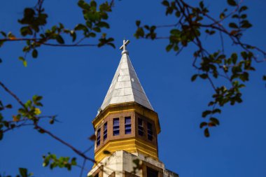 Goiania Metropolitan Katedrali 'nin tepesinde bir ağacın dalları arasında görüldü..
