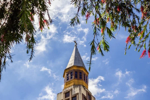 Вершина Вежі Метрополітен Собору Гоянії Розташована Між Квітучими Гілками Дерева — стокове фото