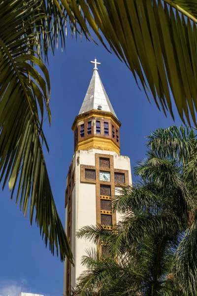 Parte Superior Torre Catedral Metropolitana Goiania Vista Entre Las Hojas —  Fotos de Stock