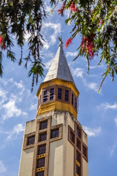 Parte Superior Torre Catedral Metropolitana Goinia Con Ramas Árbol Floreciente — Foto de Stock