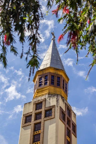 Верхівка Вежі Метрополітен Собору Гойнії Гілками Квітучого Дерева Навколо — стокове фото