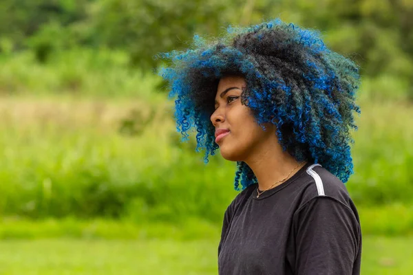 Photo of a young black woman with afro hair, dyed blue, with a serene expression on her face, in profile with the blurred vegetation of the park in the background.